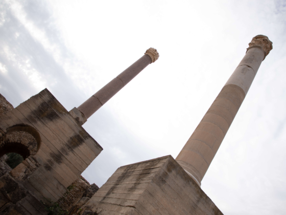 Première Visite – Ennejma Ezzahra Et Thermes D’Antonin